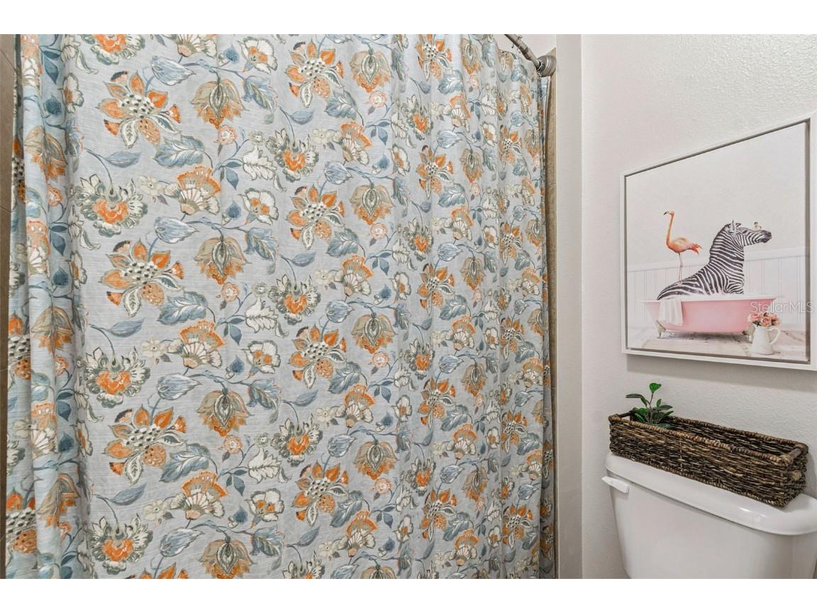 8621 Eagle Brook Drive Land O Lakes FL 34638 TB8444386 image27