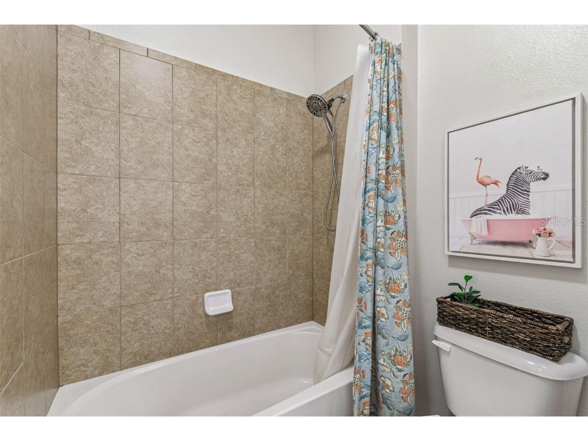 8621 Eagle Brook Drive Land O Lakes FL 34638 TB8444386 image28