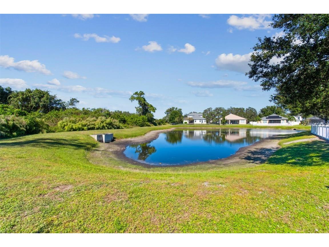 8621 Eagle Brook Drive Land O Lakes FL 34638 TB8444386 image70