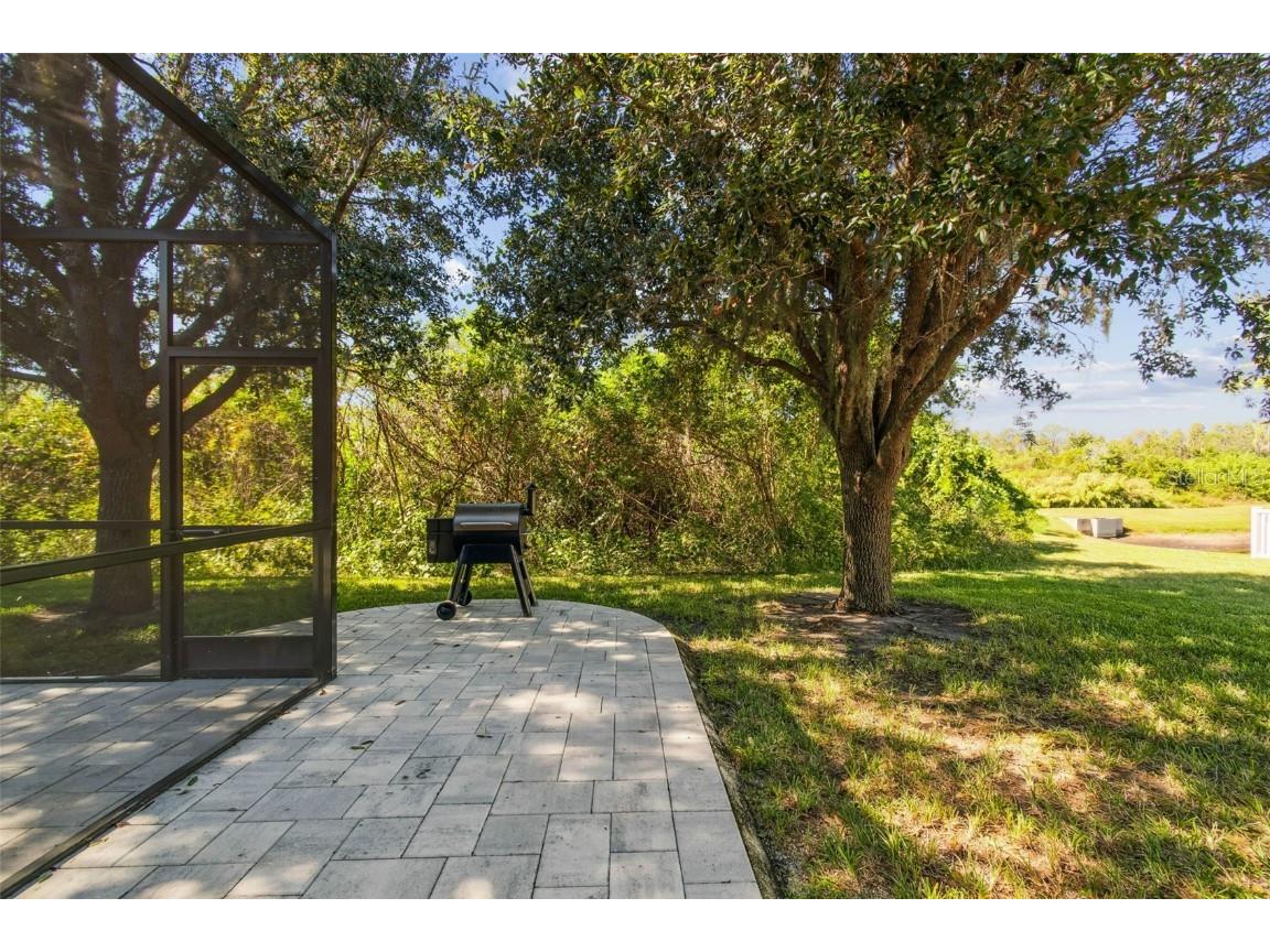 8621 Eagle Brook Drive Land O Lakes FL 34638 TB8444386 image71