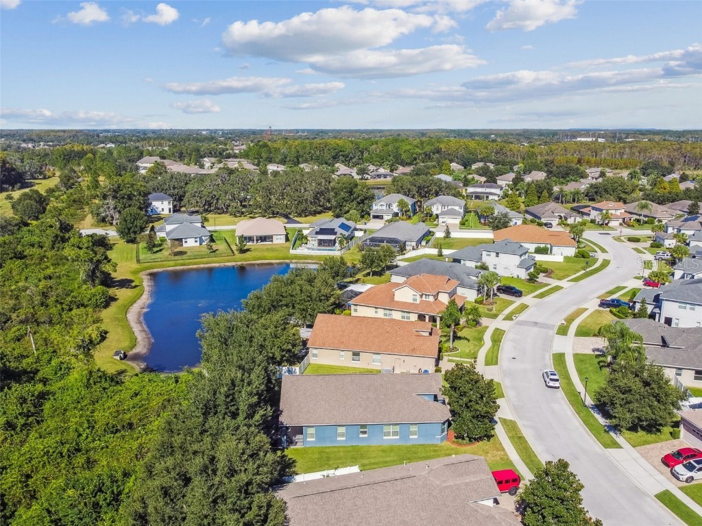 8621 Eagle Brook Drive Land O Lakes FL 34638 TB8444386 image75