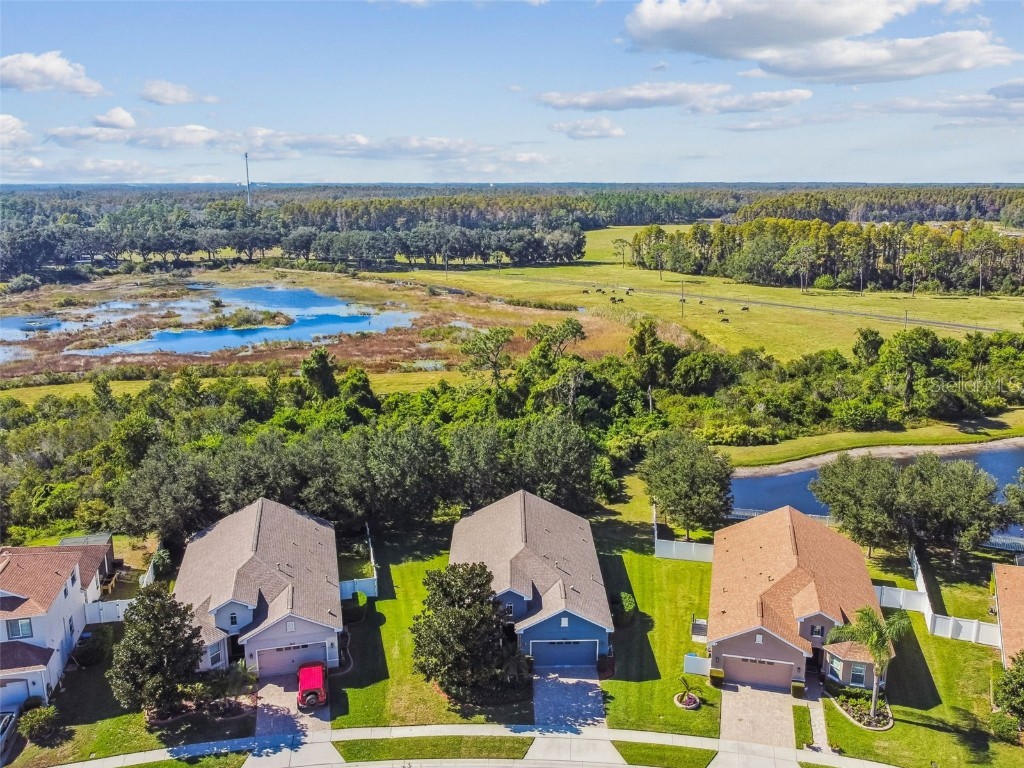 8621 Eagle Brook Drive Land O Lakes FL 34638 TB8444386 image76