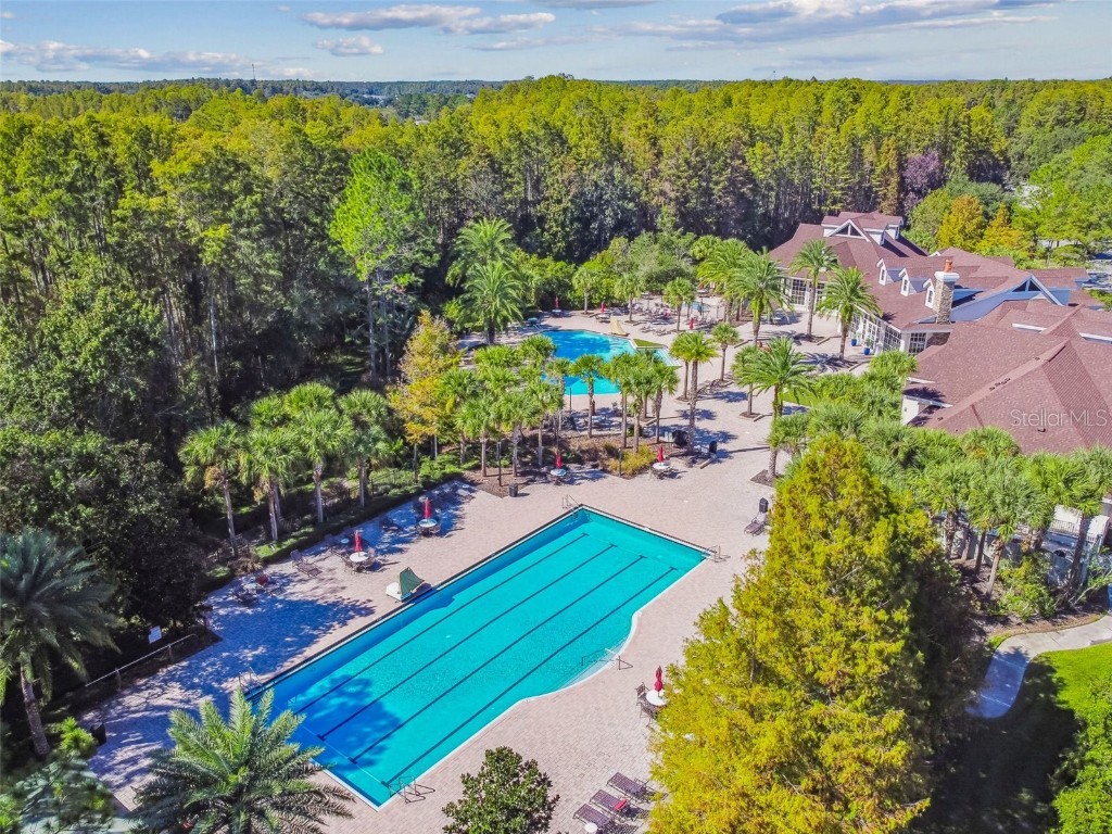 8621 Eagle Brook Drive Land O Lakes FL 34638 TB8444386 image81