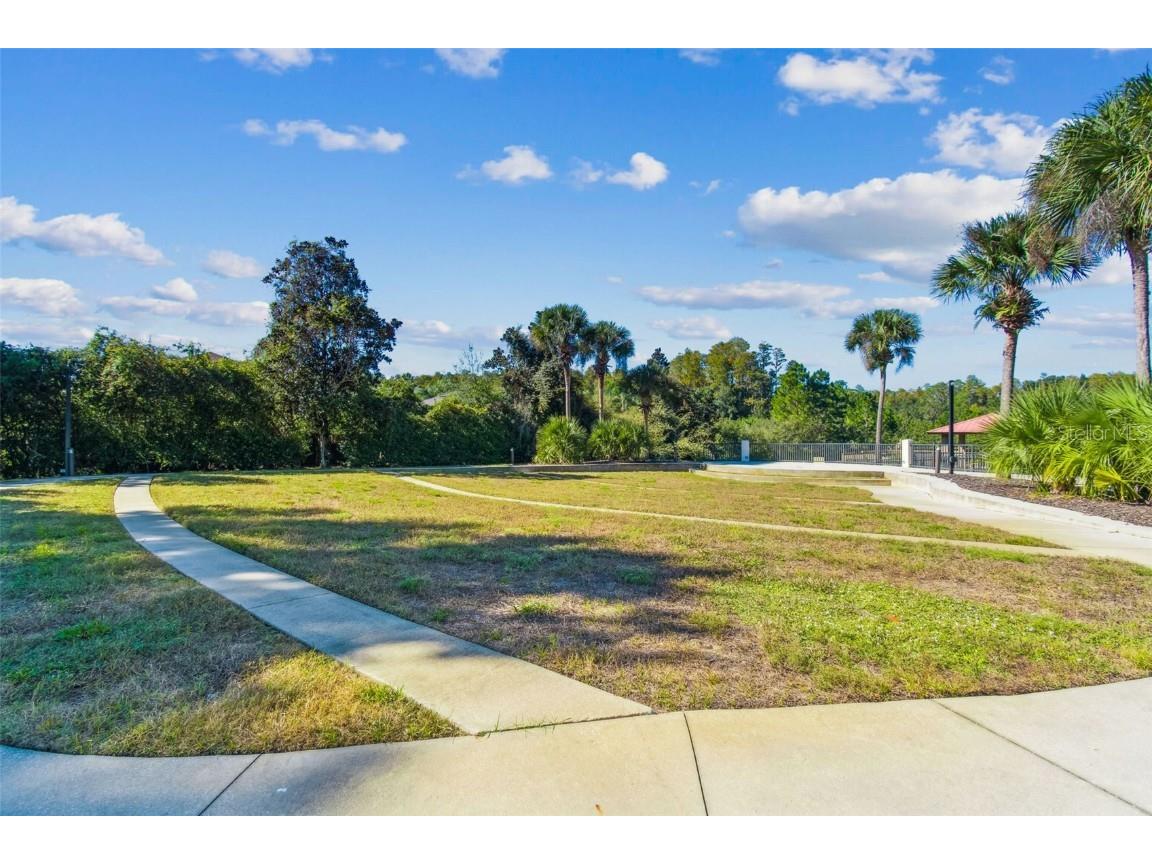 8621 Eagle Brook Drive Land O Lakes FL 34638 TB8444386 image85