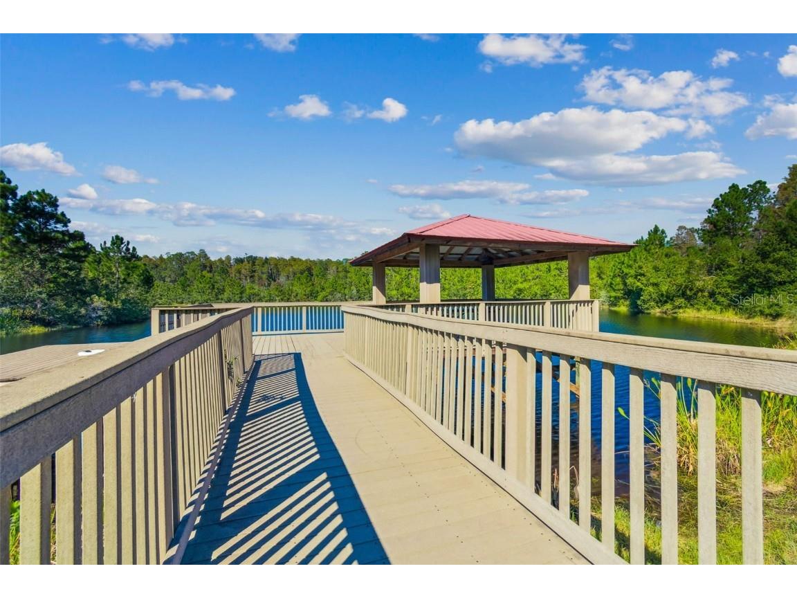 8621 Eagle Brook Drive Land O Lakes FL 34638 TB8444386 image86