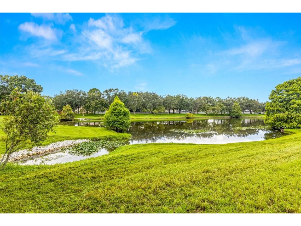 8621 Huntfield Street Tampa FL 33635 T3542469 image1