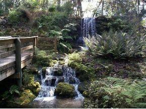 8621 Sw 200th Cir Dunnellon FL 34431 OM728047 image28