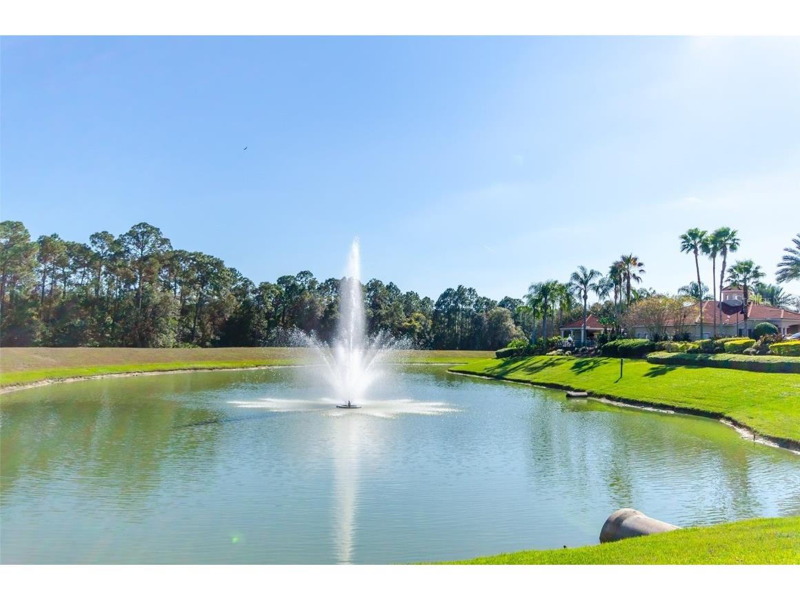 8622 La Isla Drive Kissimmee FL 34747 O6314964 image67