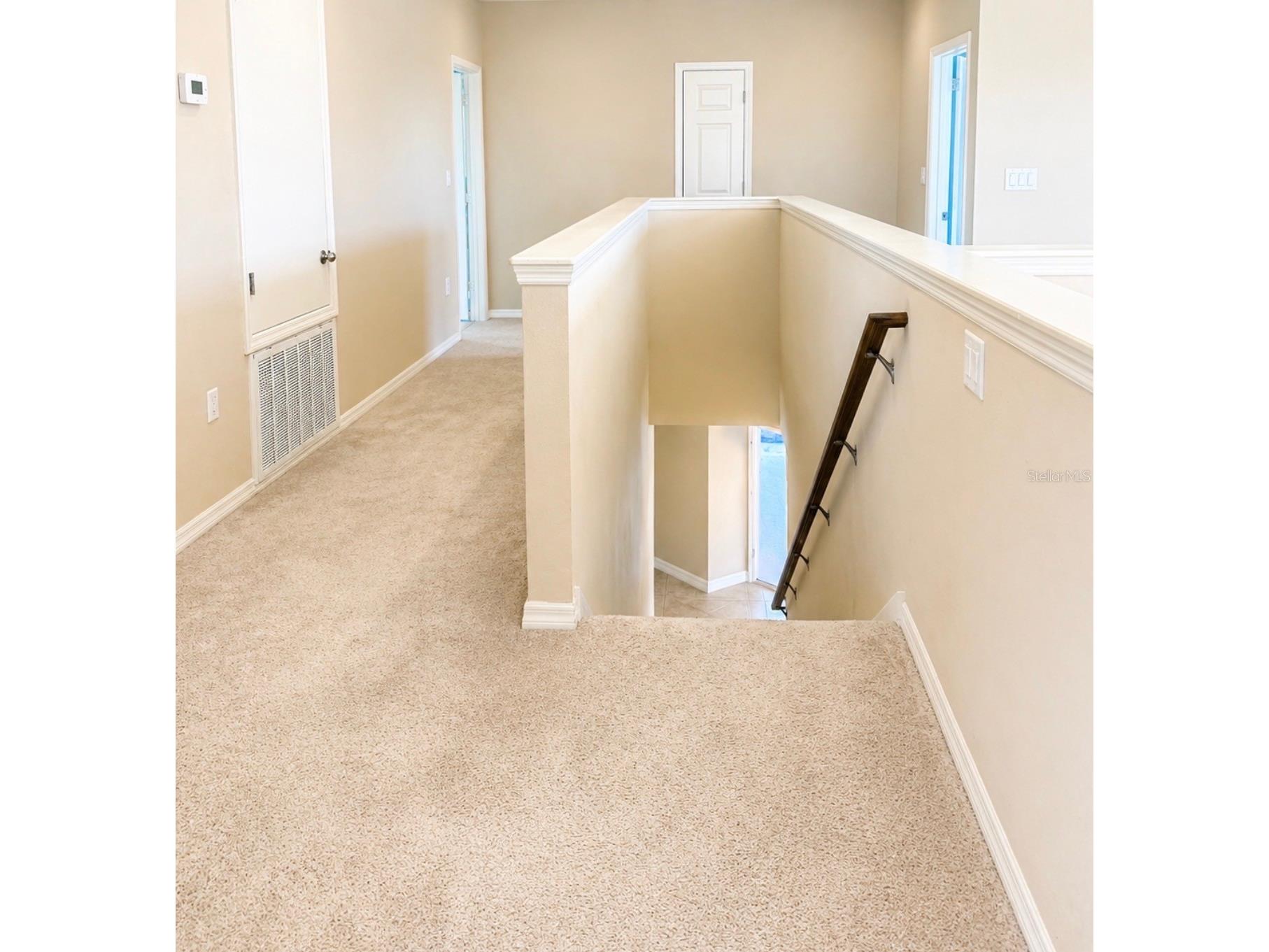8623 Deep Maple Drive Riverview FL 33578 TB8502228 image7