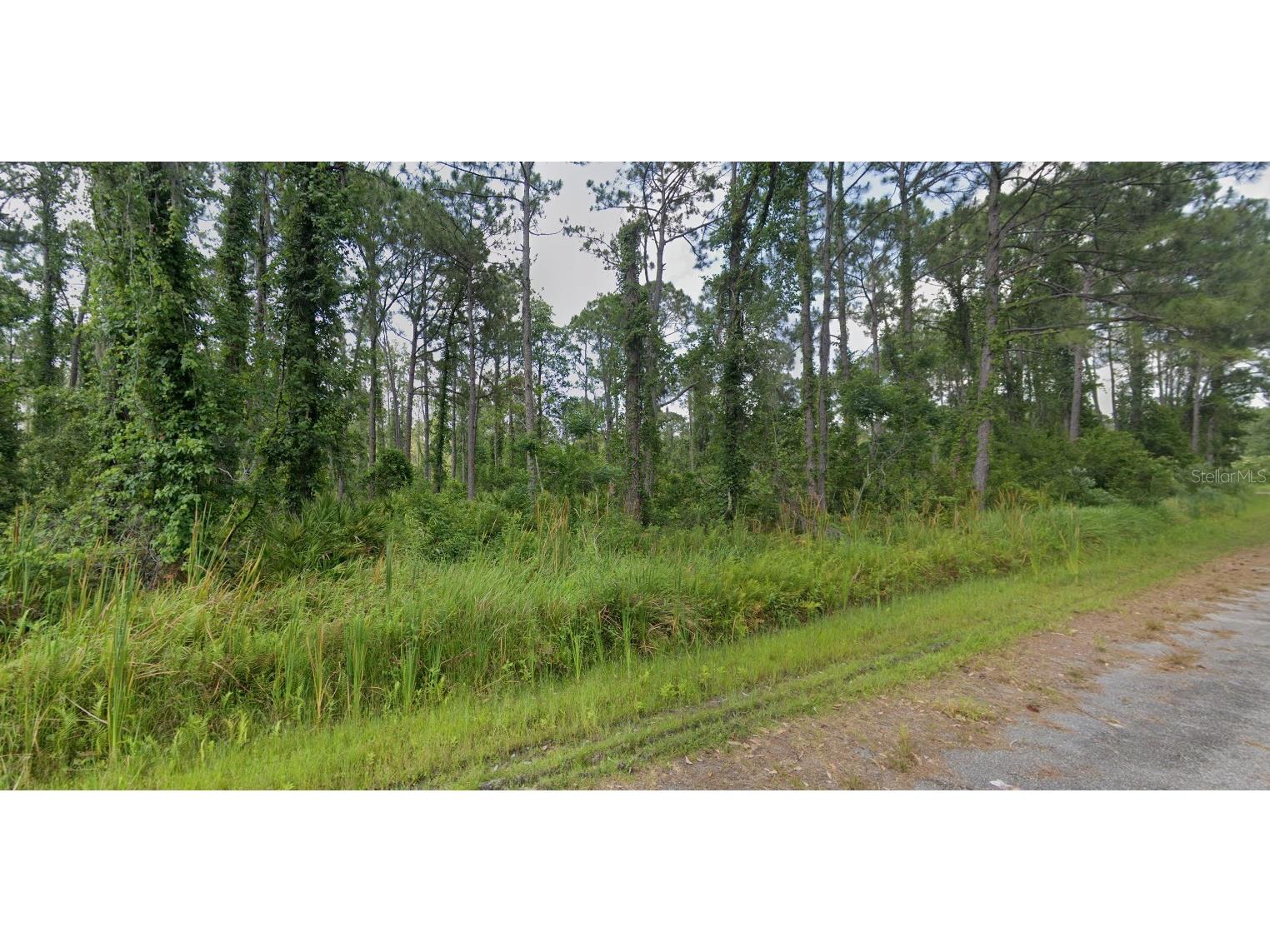 8624 Lena Drive Sebring FL 33872 TB8472086 image2