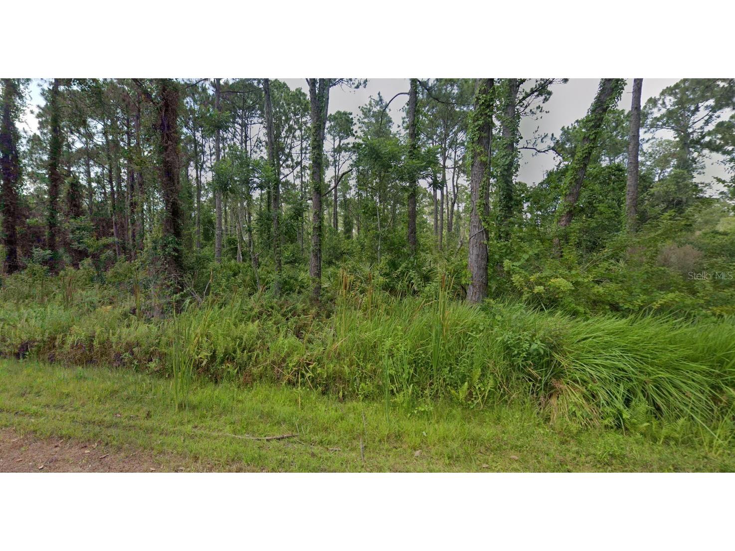 8624 Lena Drive Sebring FL 33872 TB8472086 image3