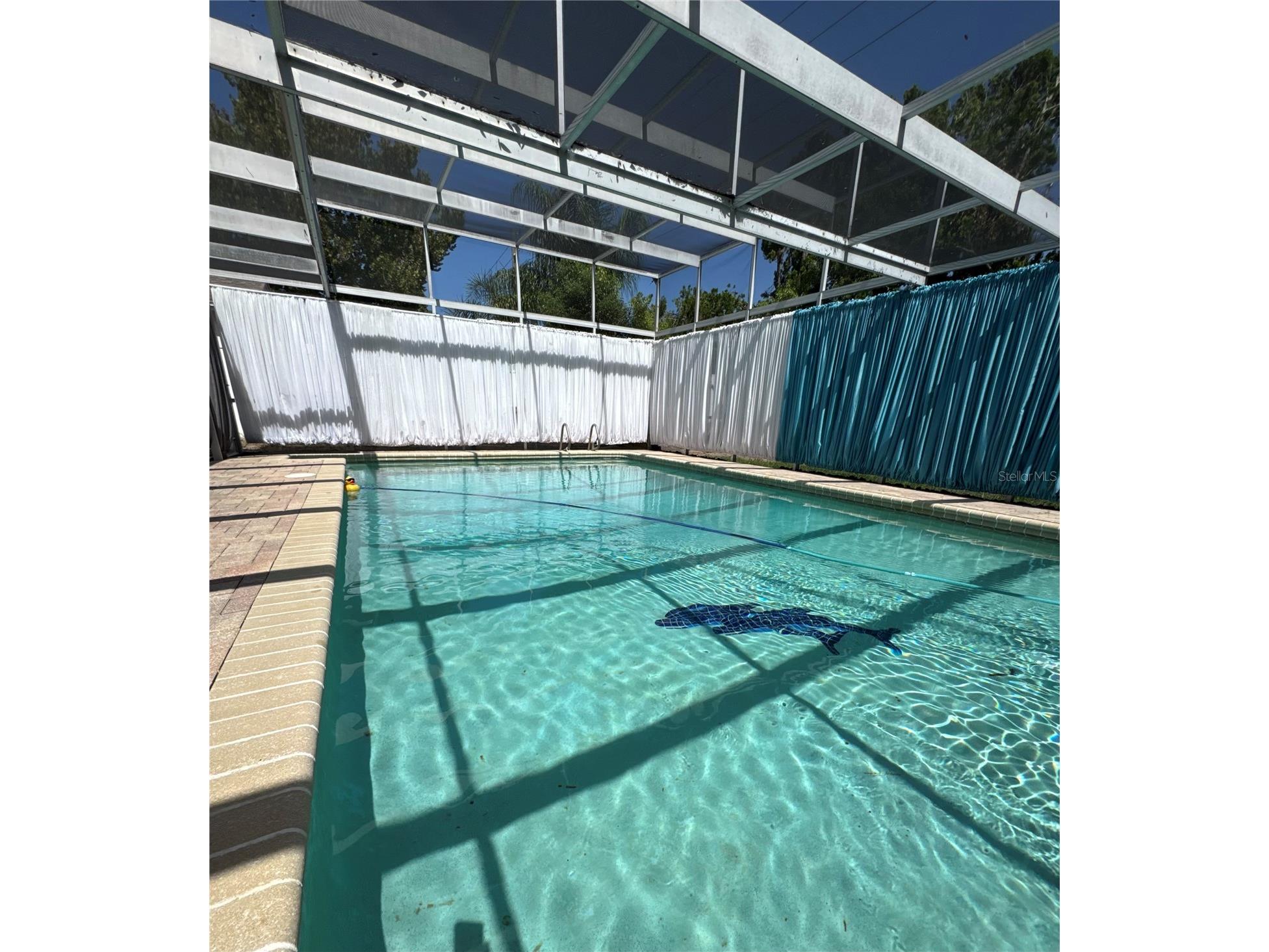 8625 Woodcrest Drive Port Richey FL 34668 W7885379 image34
