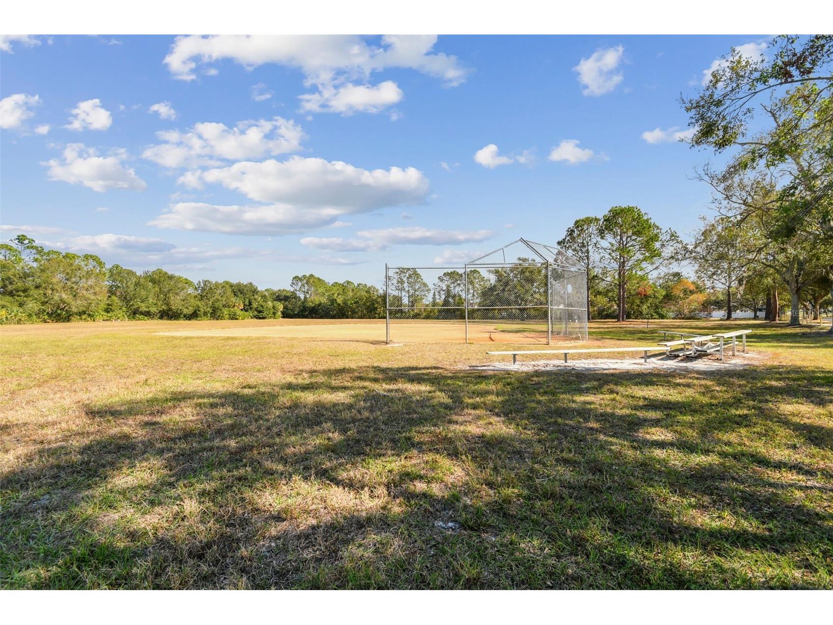 8626 Boysenberry Drive Tampa FL 33635 TB8480335 image47