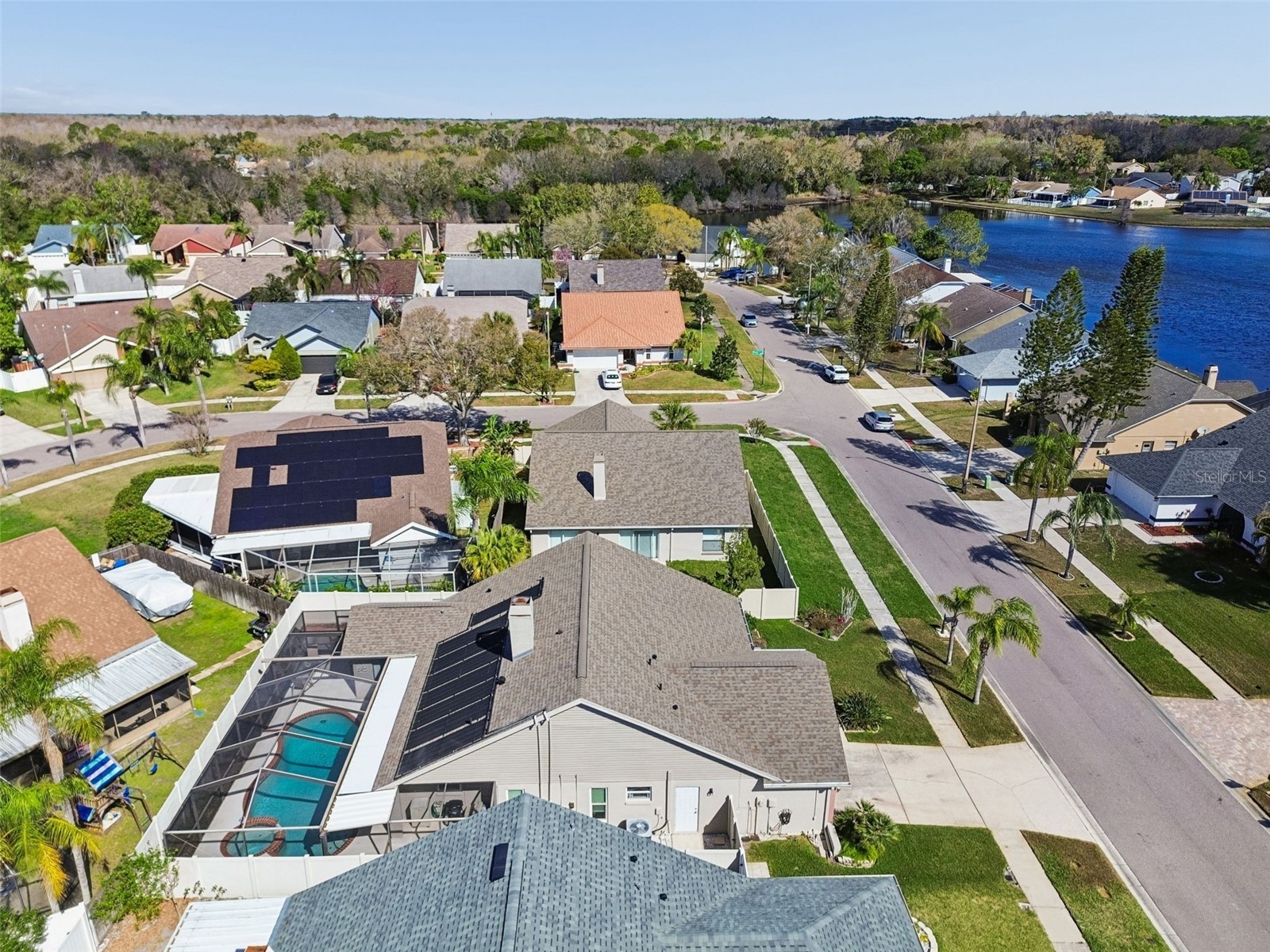 8626 Boysenberry Drive Tampa FL 33635 TB8480335 image56