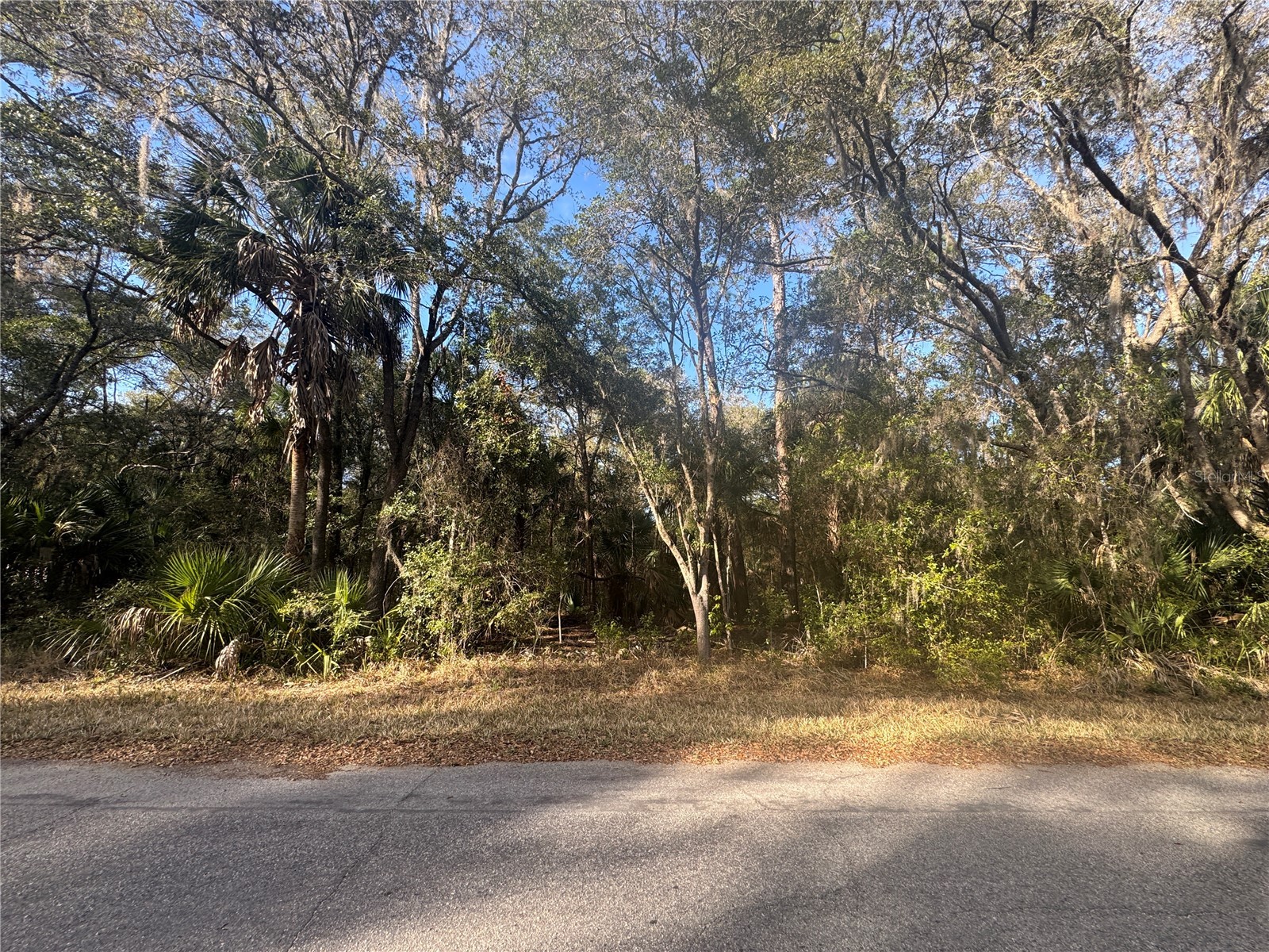 8627 W Rue Des Prairies Place Crystal River FL 34428 GC537894 image1