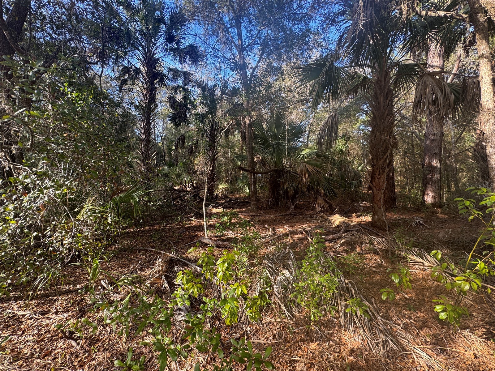 8627 W Rue Des Prairies Place Crystal River FL 34428 GC537894 image4