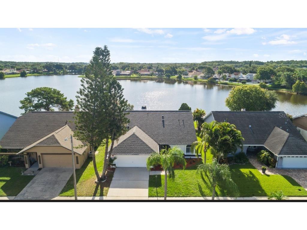 8629 Boysenberry Drive Tampa FL 33635 W7865583 image1