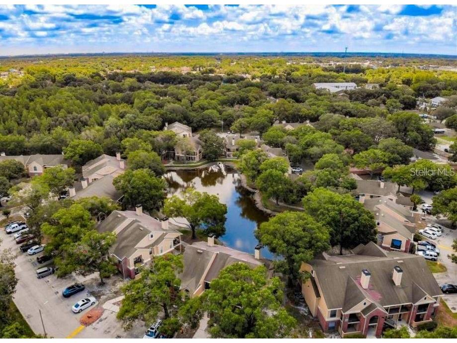 8629 Fancy Finch Drive #202 Tampa FL 33614 U8230167 image1