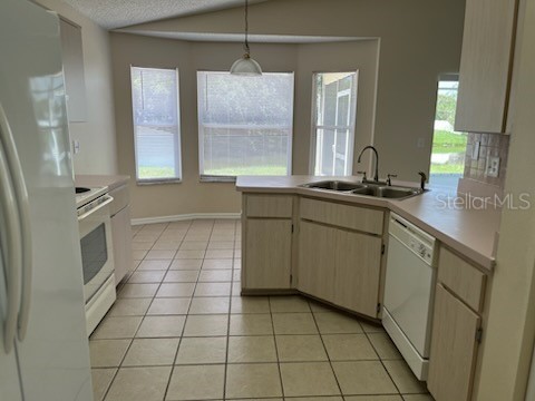 8629 Scrimshaw Drive New Port Richey FL 34653 W7887468 image6