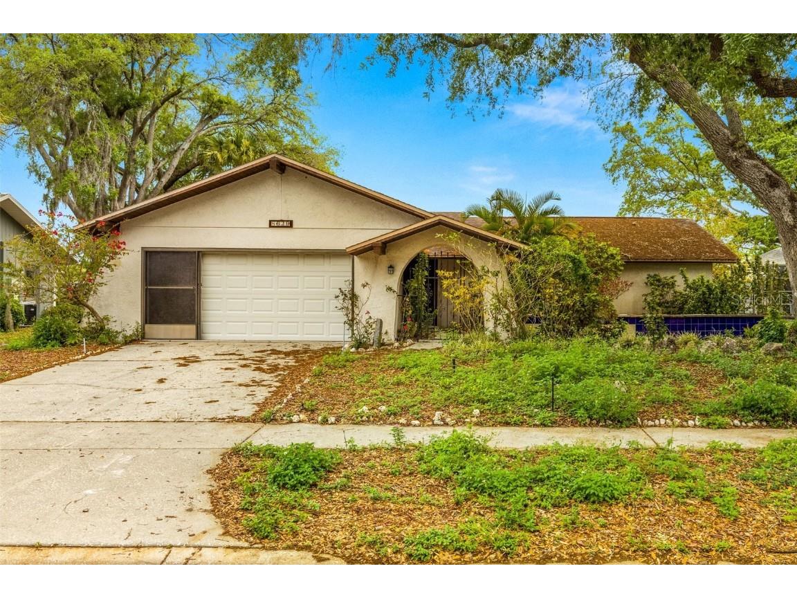 8629 White Springs Drive New Port Richey FL 34655 U8236268 image1
