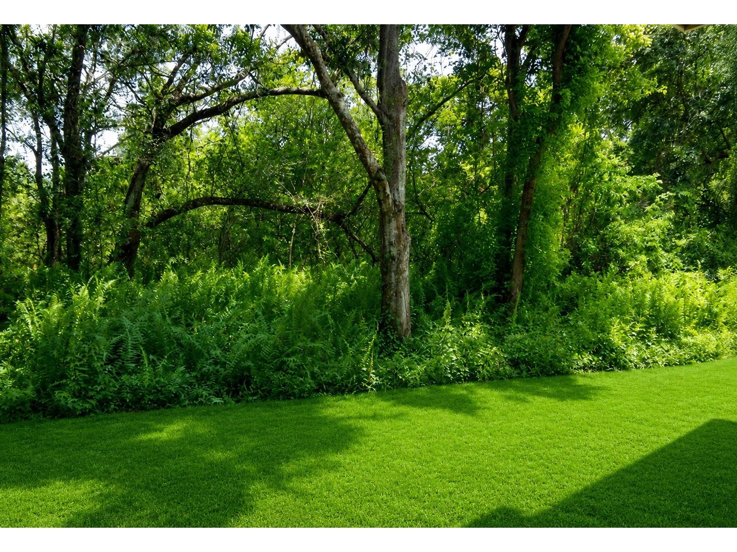 8630 Mallard Reserve Drive #103 Tampa FL 33614 TB8515278 image42