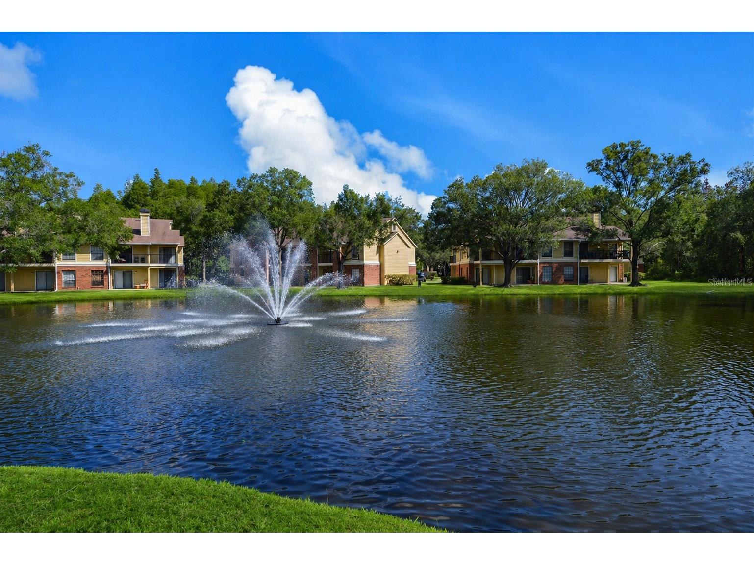 8630 Mallard Reserve Drive #103 Tampa FL 33614 TB8515278 image55