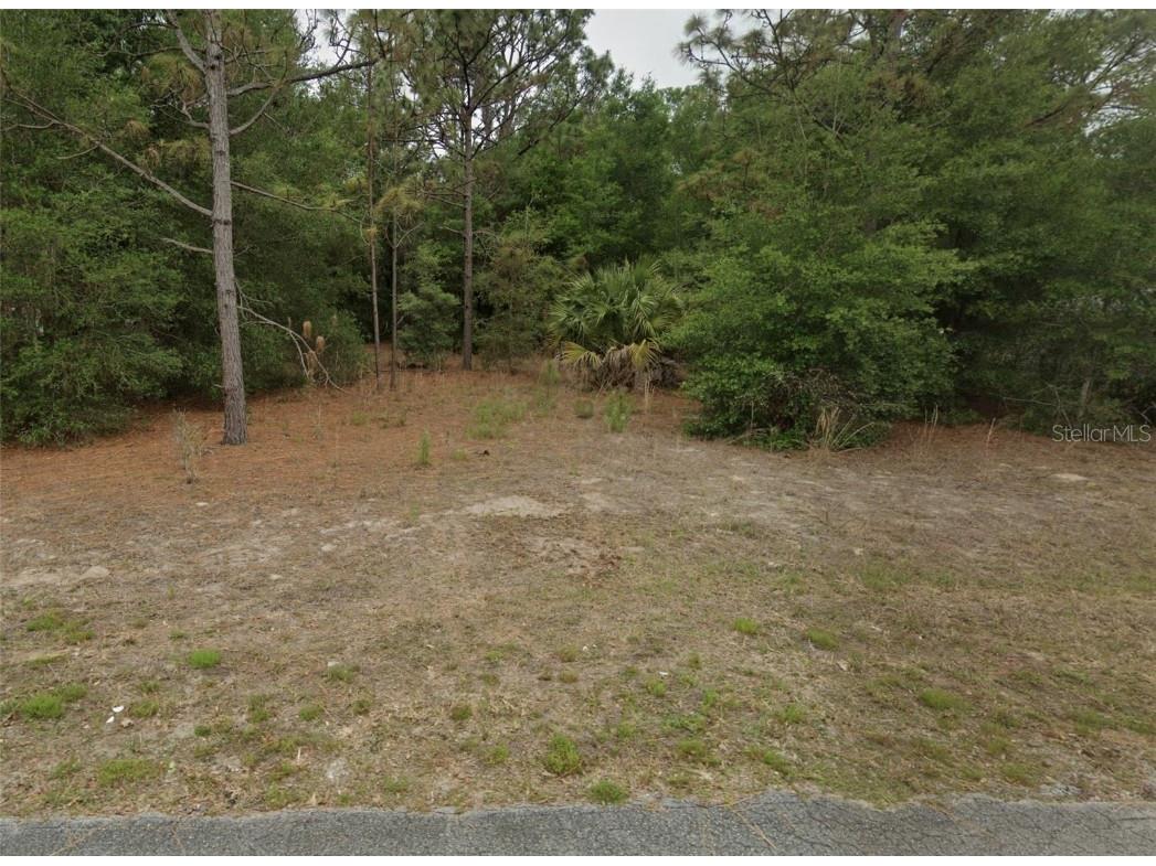 8630 N Catapane Loop, Crystal River, FL, 34428 MLS T3534530 Edina