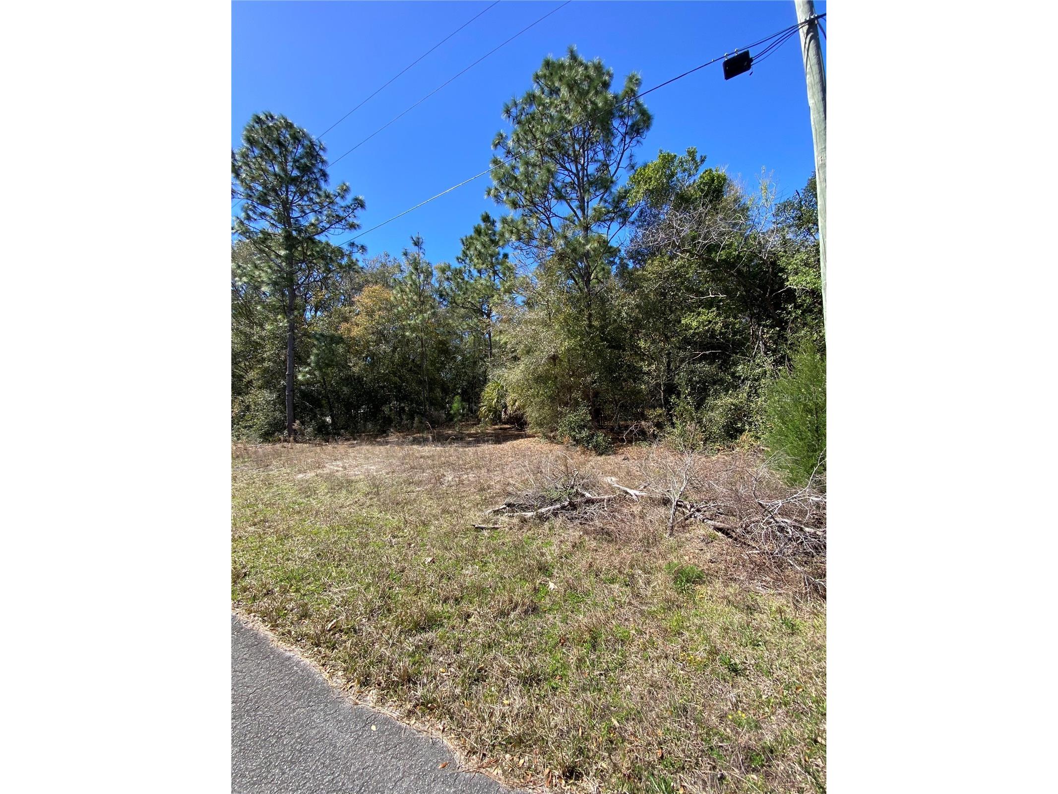 8630 N Catapane Loop Crystal River FL 34428 O6287531 image1