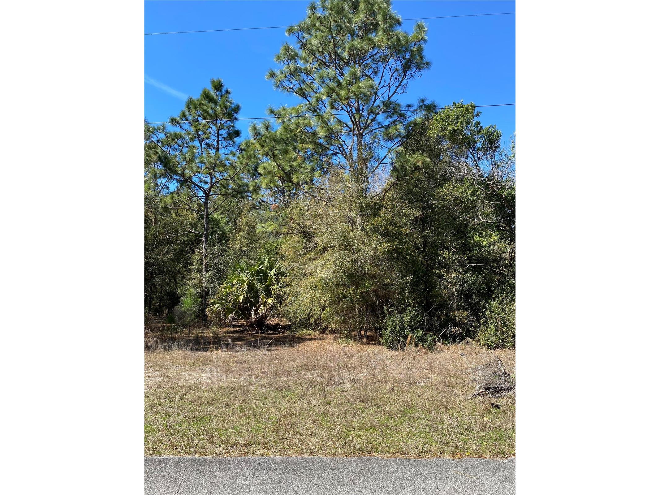 8630 N Catapane Loop Crystal River FL 34428 O6287531 image2