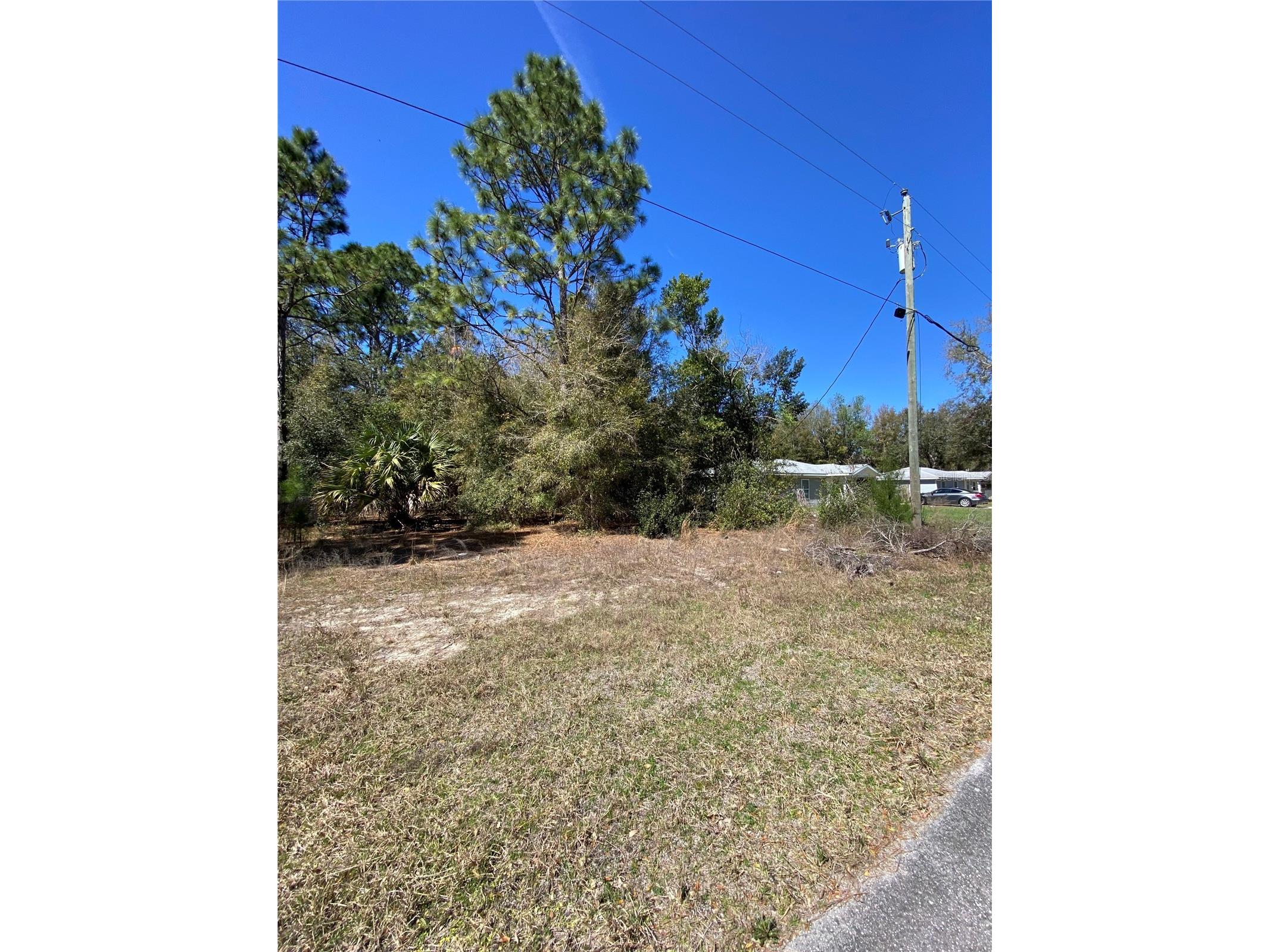 8630 N Catapane Loop Crystal River FL 34428 O6287531 image3