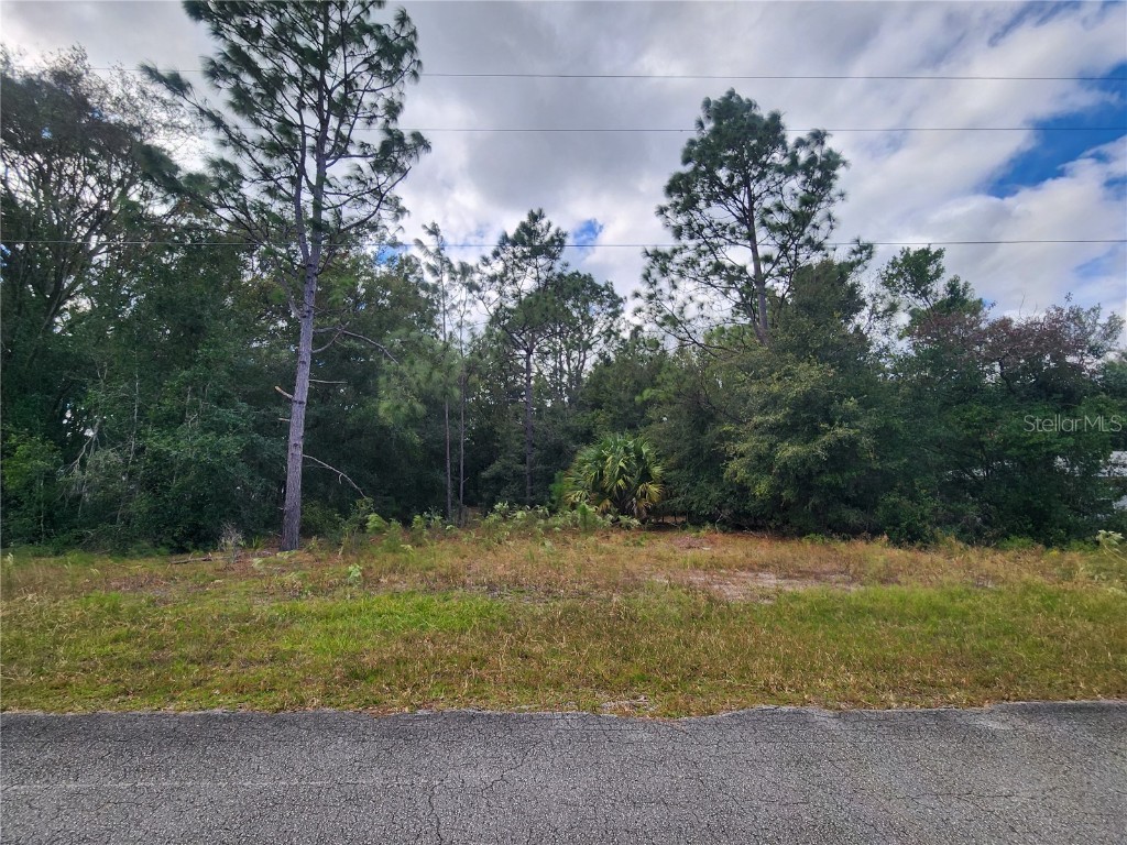 8630 N Catapane Loop Crystal River FL 34428 OM688054 image1