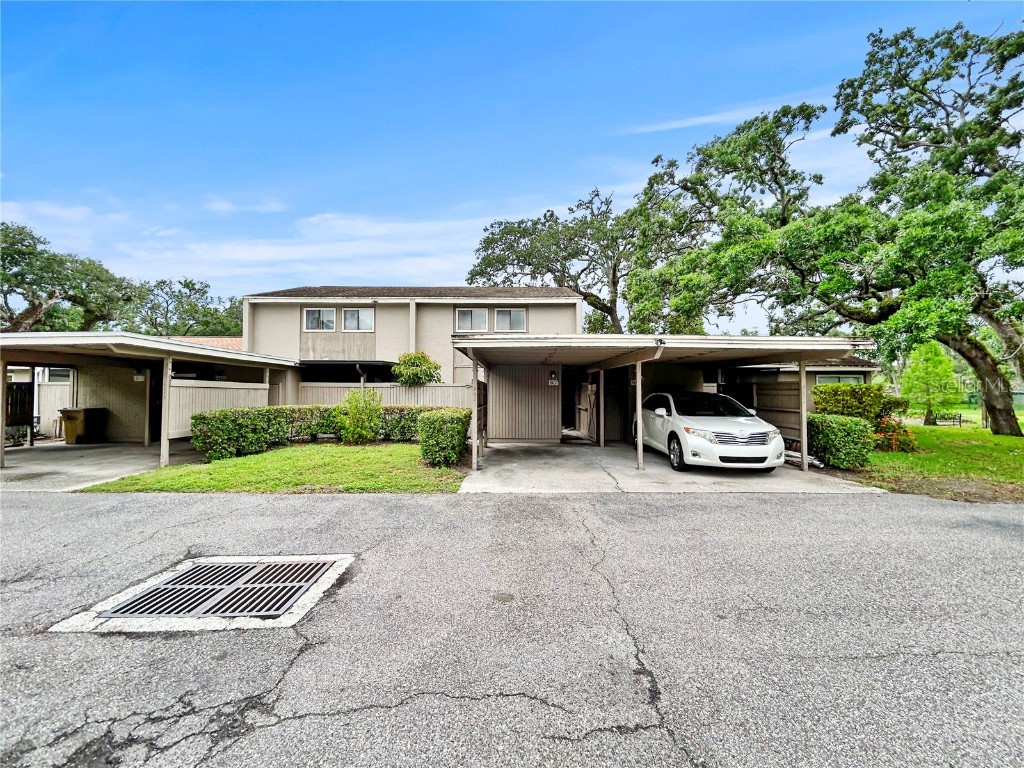 8631 Cattail Drive Temple Terrace FL 33637 O6298356 image1