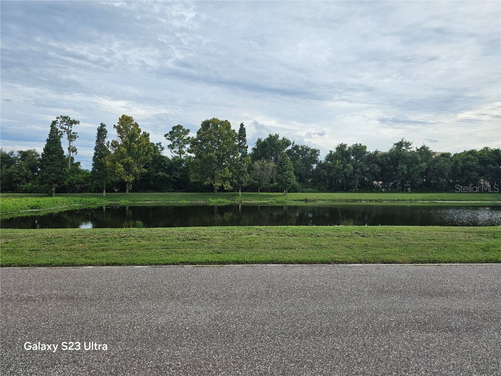 8631 Turnstone Shore Lane Riverview FL 33578 TB8407324 image20