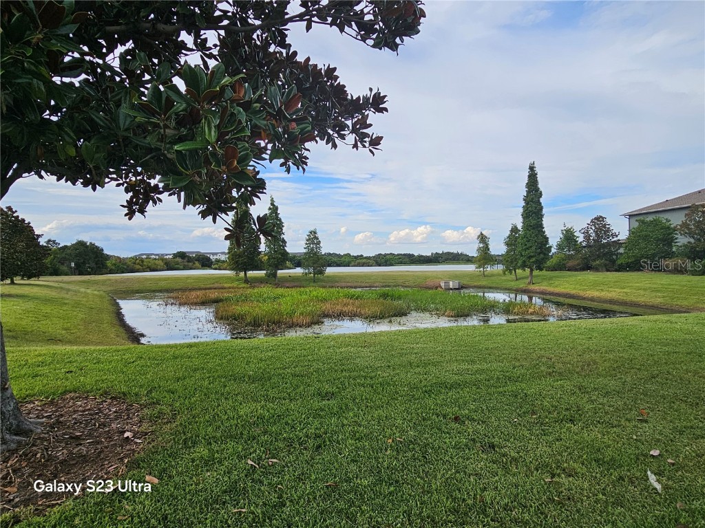 8631 Turnstone Shore Lane Riverview FL 33578 TB8407324 image24