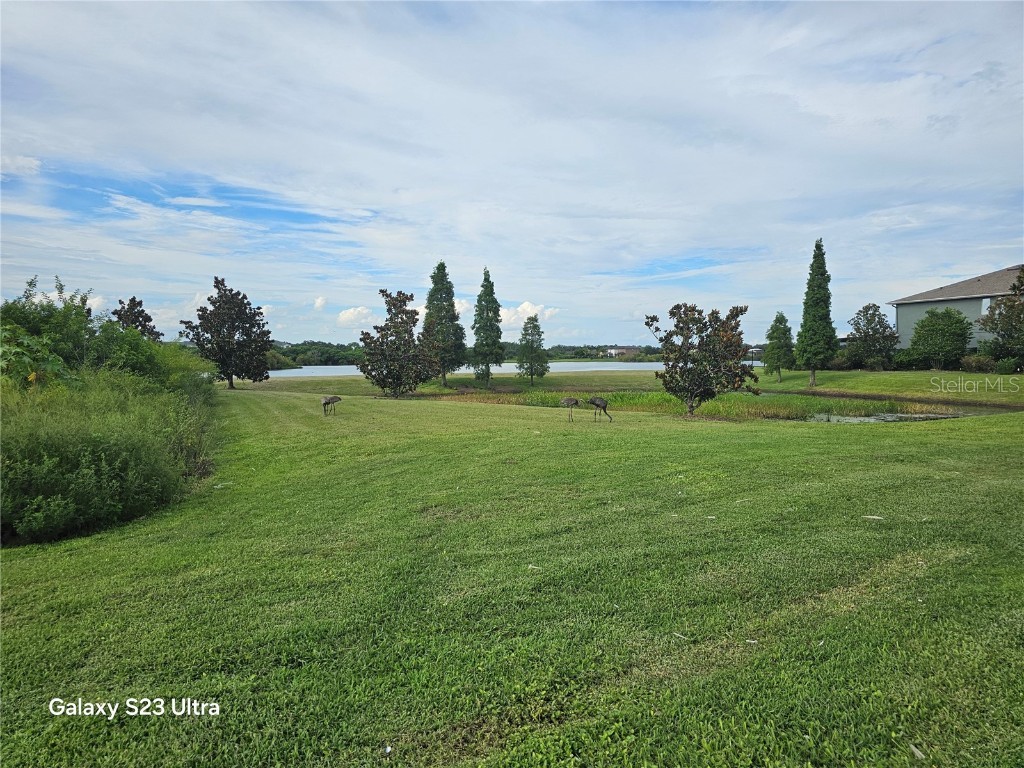 8631 Turnstone Shore Lane Riverview FL 33578 TB8407324 image26