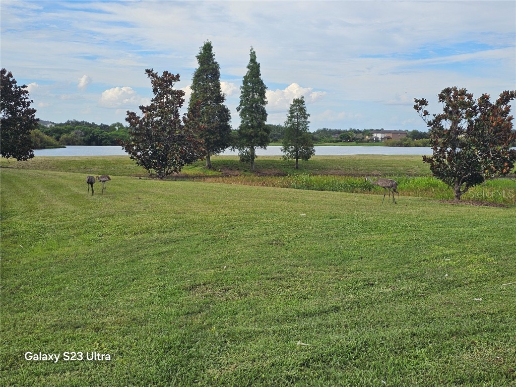 8631 Turnstone Shore Lane Riverview FL 33578 TB8407324 image28