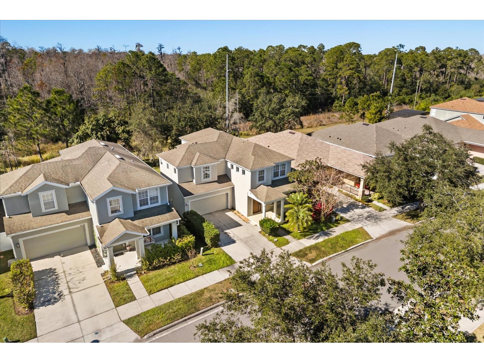 8632 Abbotsbury Drive Windermere FL 34786 O6374937 image37