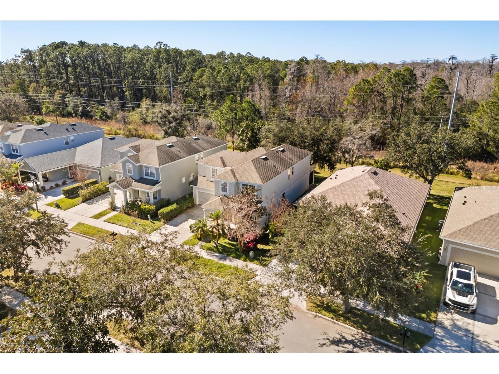 8632 Abbotsbury Drive Windermere FL 34786 O6374937 image39