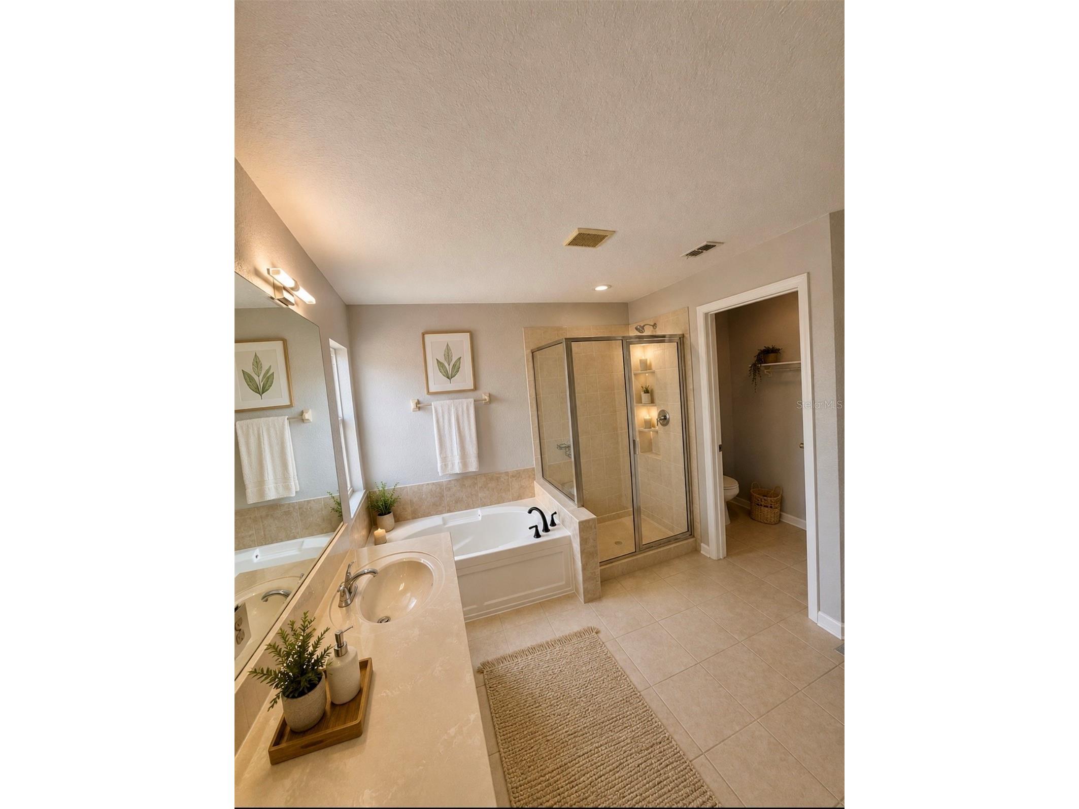 8632 Abbotsbury Drive Windermere FL 34786 O6406433 image18