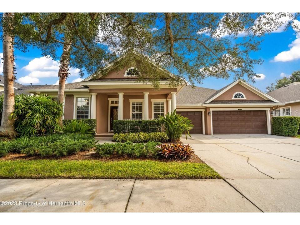 8632 Winsome Way Land O Lakes FL 34637 J970229 image1