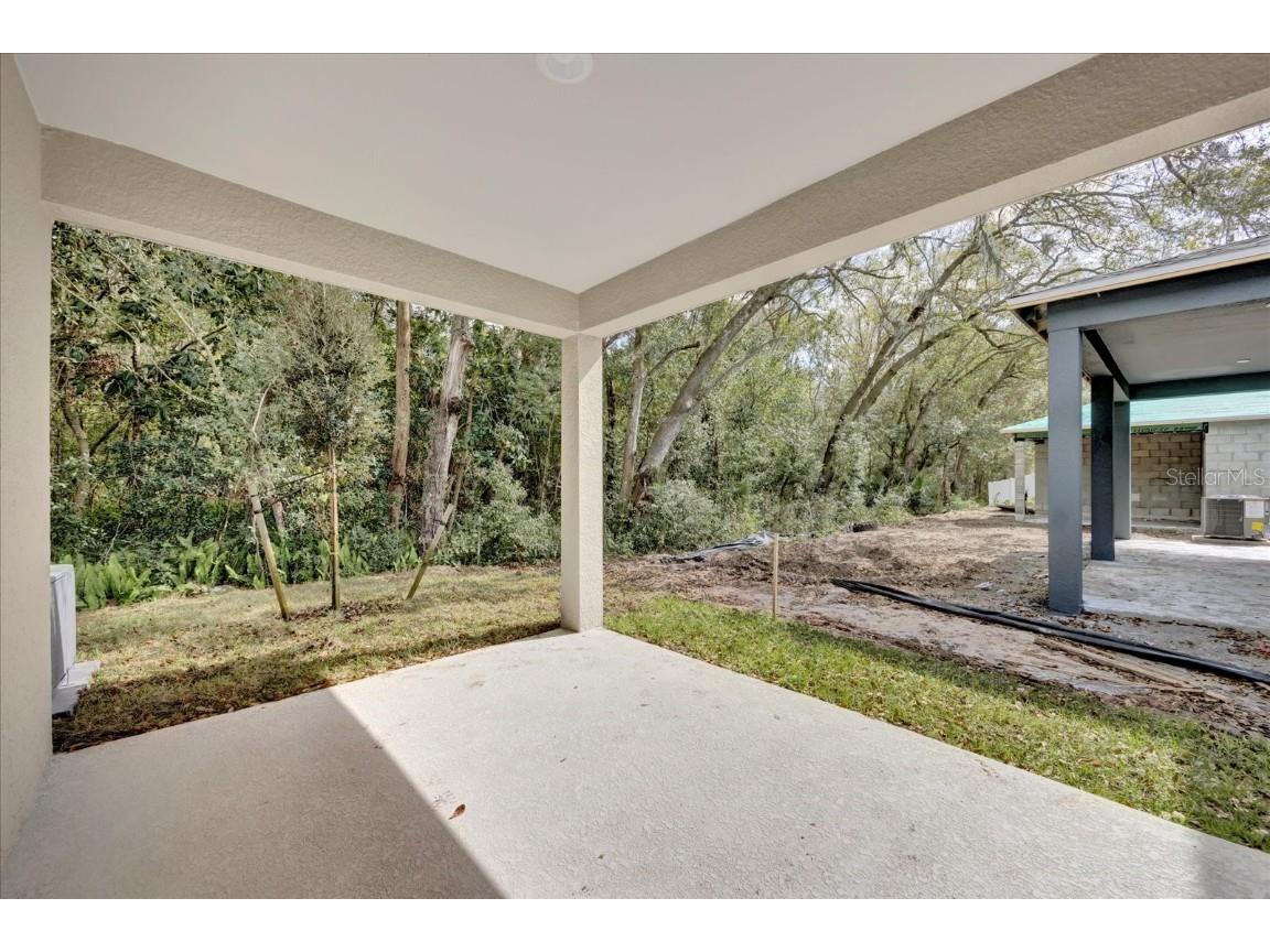 8633 Caribbean Pine Way Lakeland FL 33809 O6363863 image14