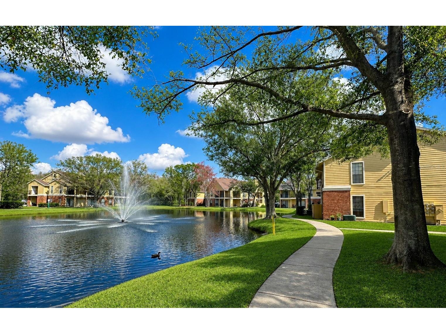 8633 Fancy Finch Drive #201 Tampa FL 33614 TB8508213 image61