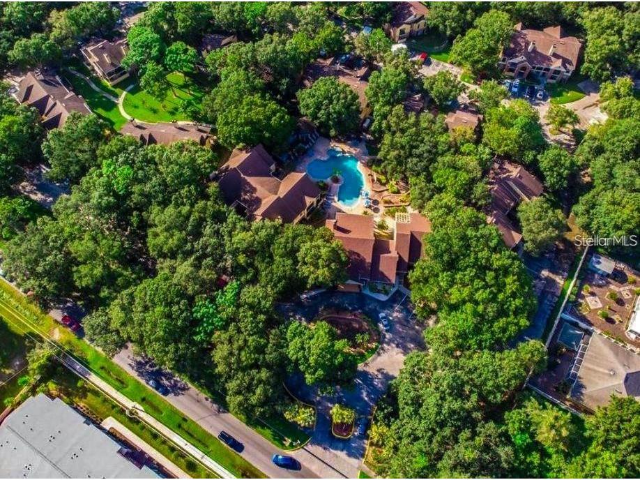 8633 Fancy Finch Drive #201 Tampa FL 33614 TB8508213 image98