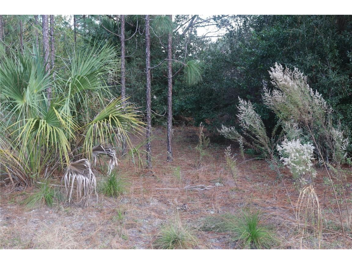 8633 N San Filippo Loop Crystal River FL 34428 OM669391 image1