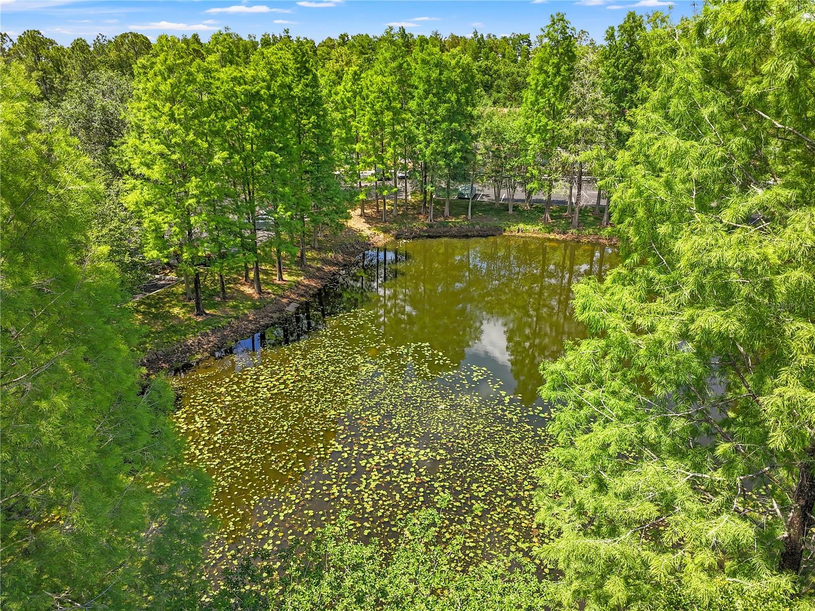 8635 Hunters Key Circle Tampa FL 33647 TB8507195 image27