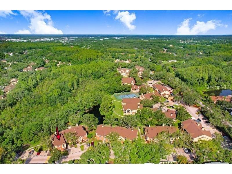 8635 Mallard Reserve Drive #201 Tampa FL 33614 TB8498565 image65