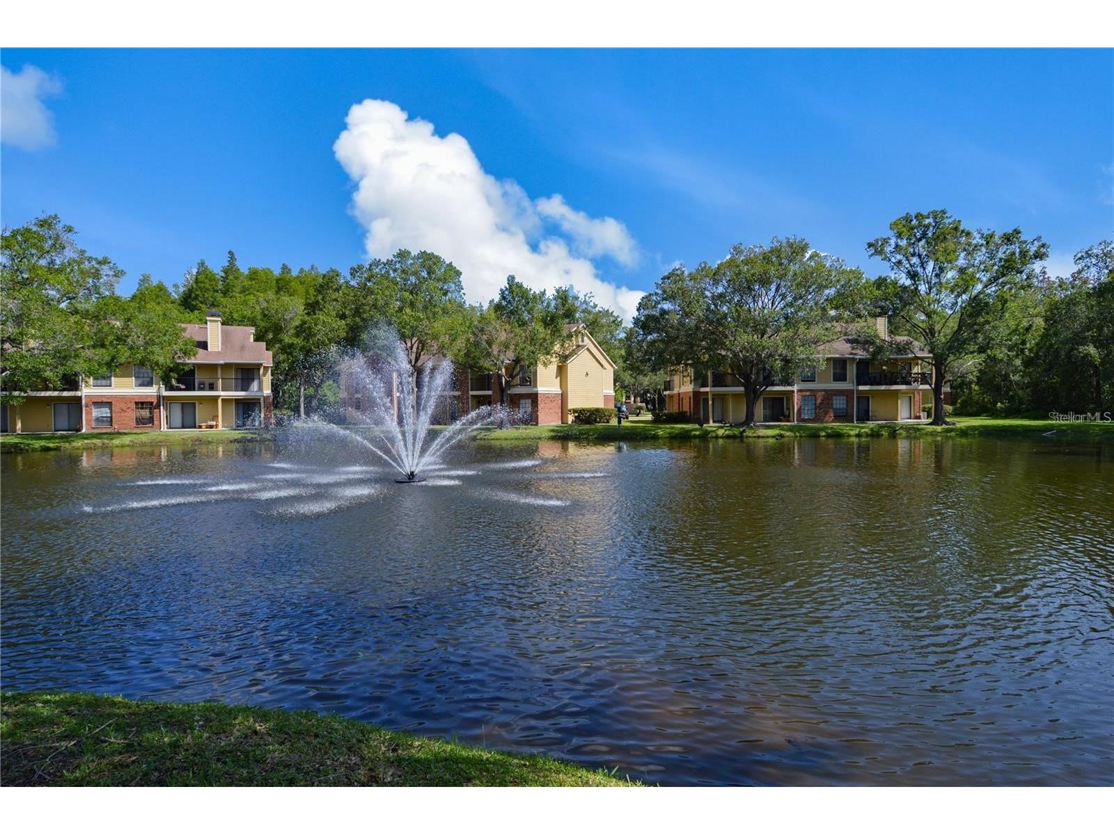 8635 Mallard Reserve Drive #201 Tampa FL 33614 TB8498565 image76