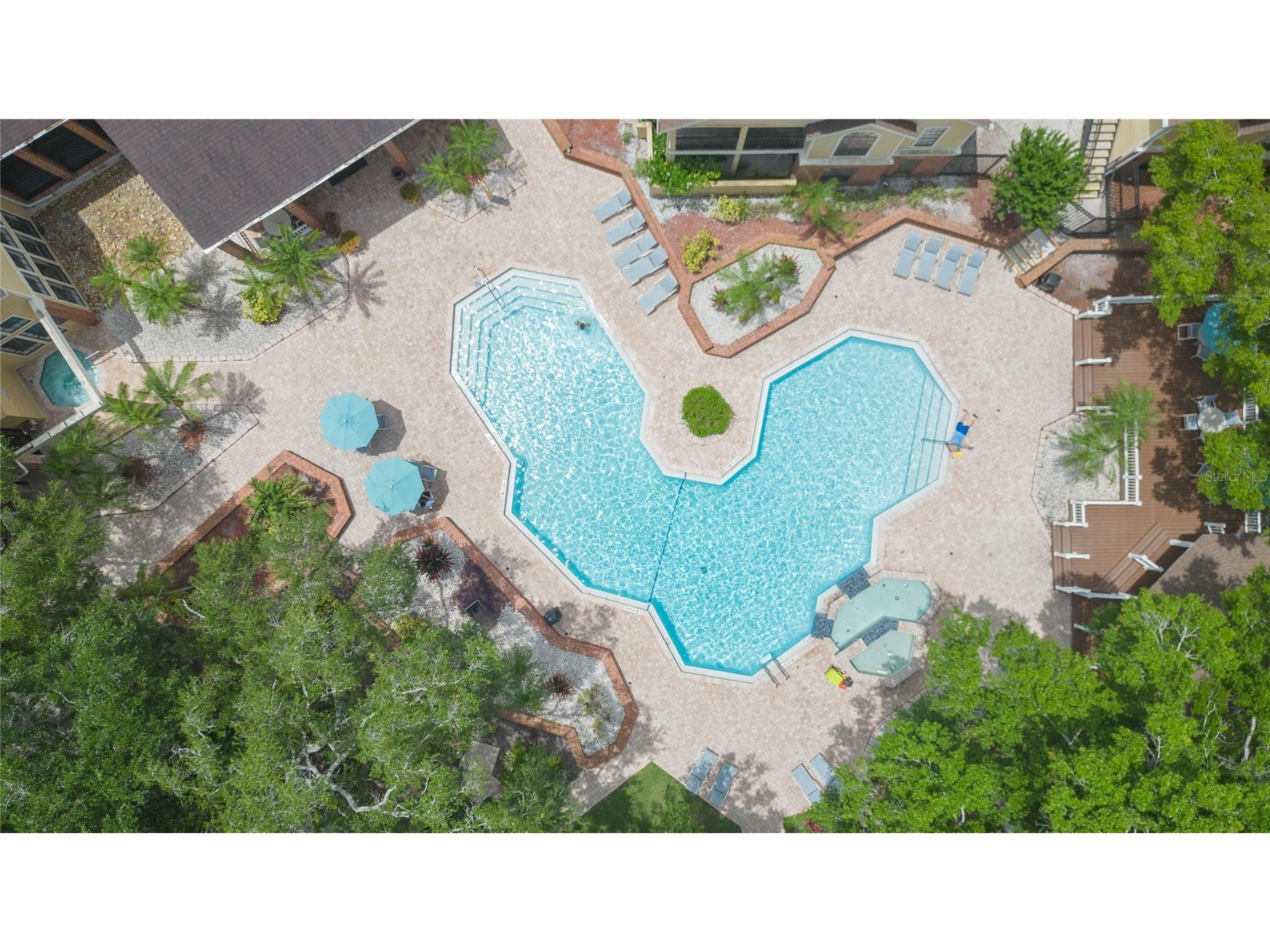 8636 Mallard Reserve Drive #201 Tampa FL 33614 TB8515551 image24