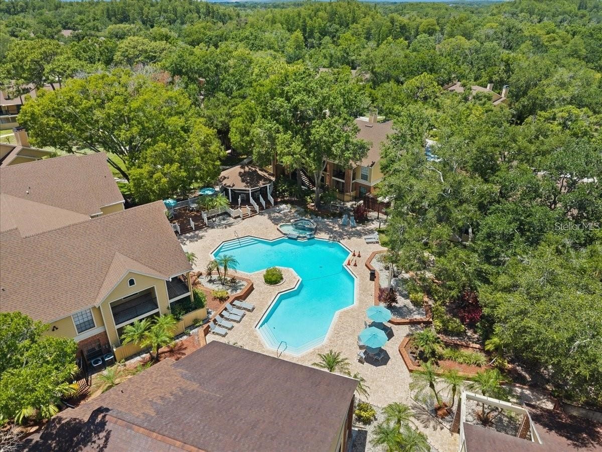 8636 Mallard Reserve Drive #201 Tampa FL 33614 TB8515551 image26