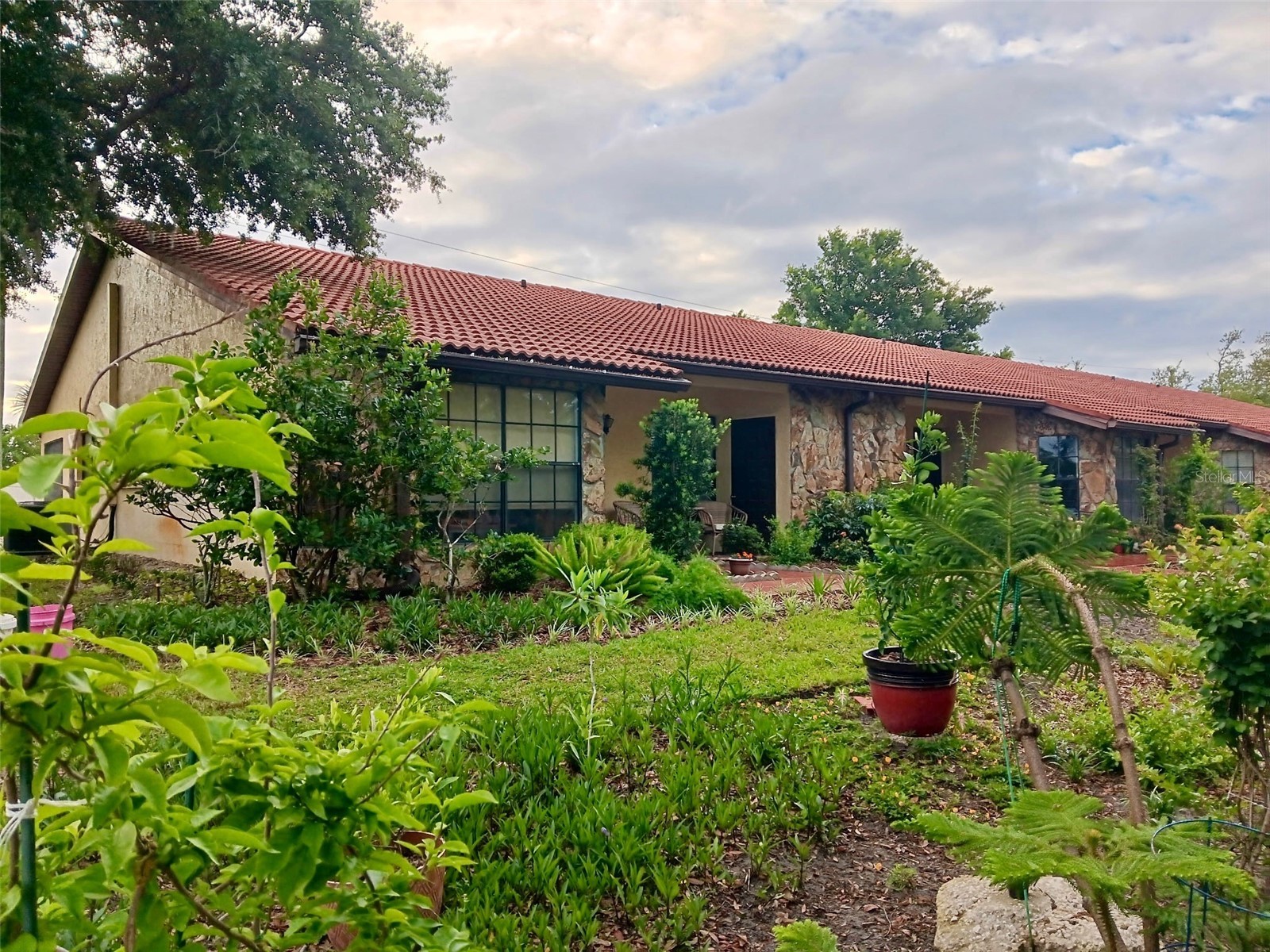 8636 Shadblow Court #1 Port Richey FL 34668 W7883671 image22